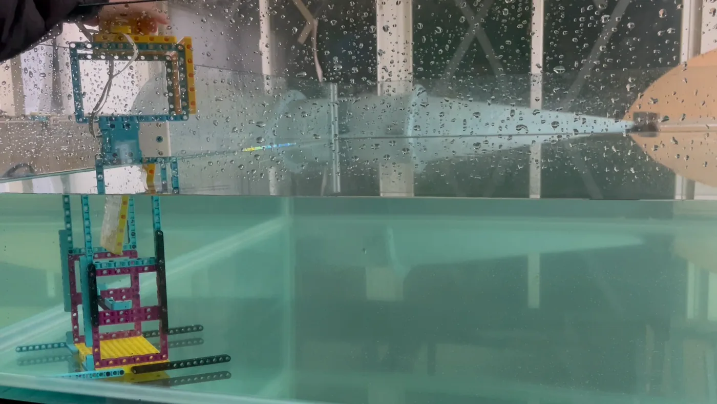 Flap-type wave maker mounted in the basin, seen through the glass