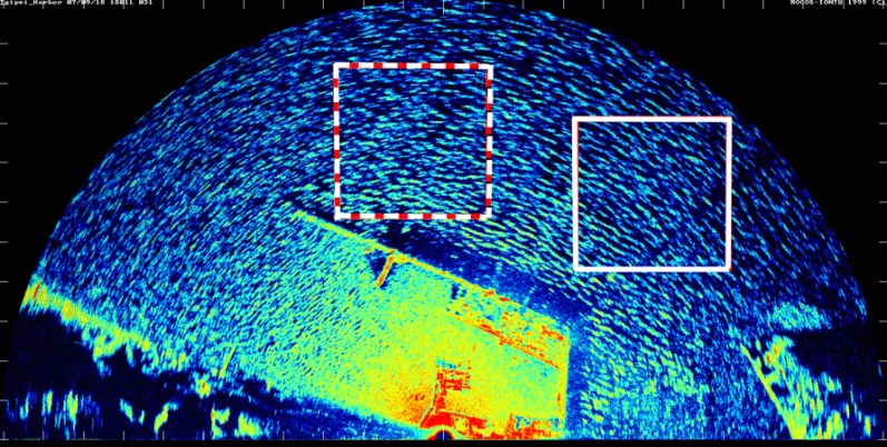 Marine radar image of sea clutter near Taipei Port